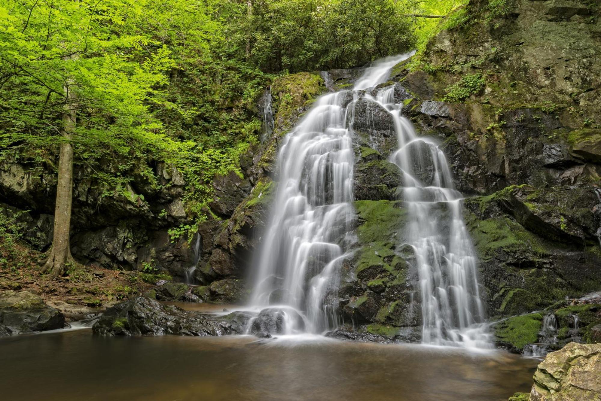 Mountain Eden, Hot Tub, Resort Pool, Wifi, 1089 Free Tickets Each Paid Day, Dollywood And More Gatlinburg Ngoại thất bức ảnh